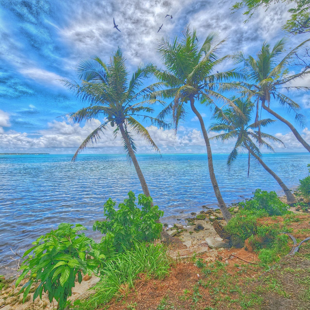 Dispatch from X-ray Island