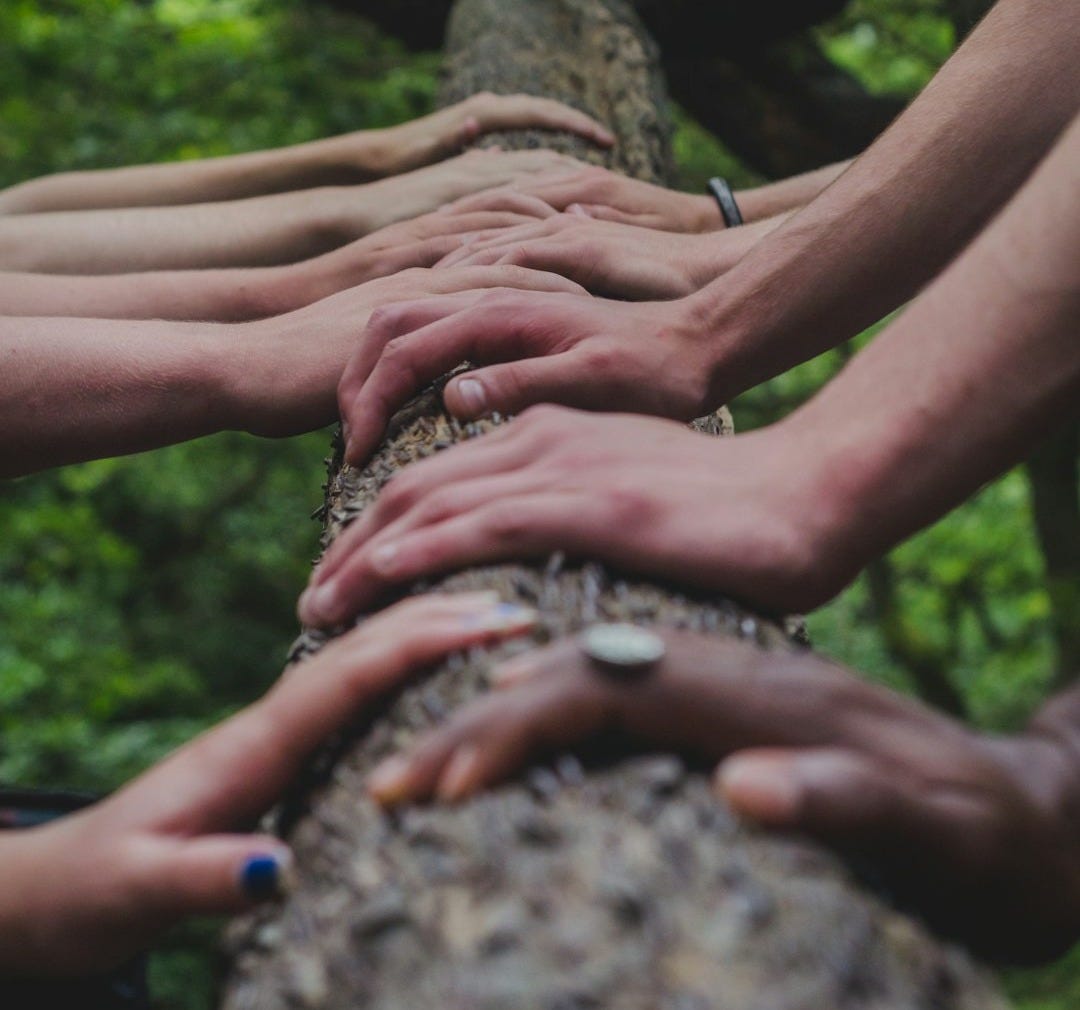 a group of people holding hands on top of a tree a group of people holding hands on top of a tree