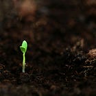 Day 014 of 100 | Saturday, March 7 