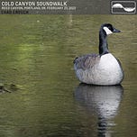 Soundwalk