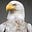 White Eagle's avatar