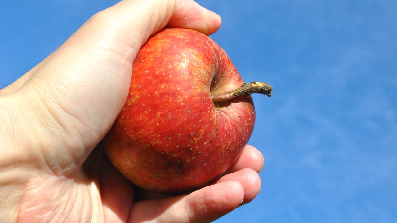 You call it fruit, the earth calls it a thought