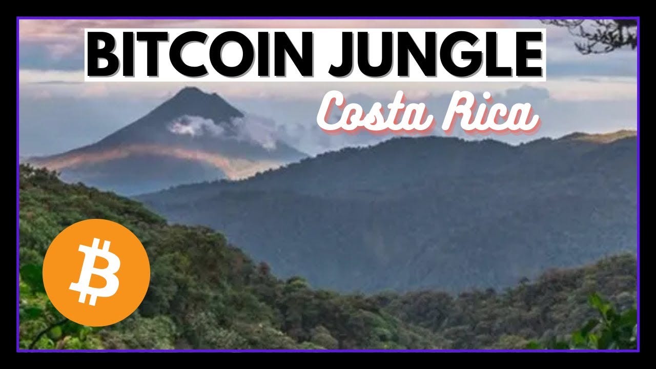 The Beauty of Bitcoin in Costa Rica - Bitcoin Jungle - YouTube