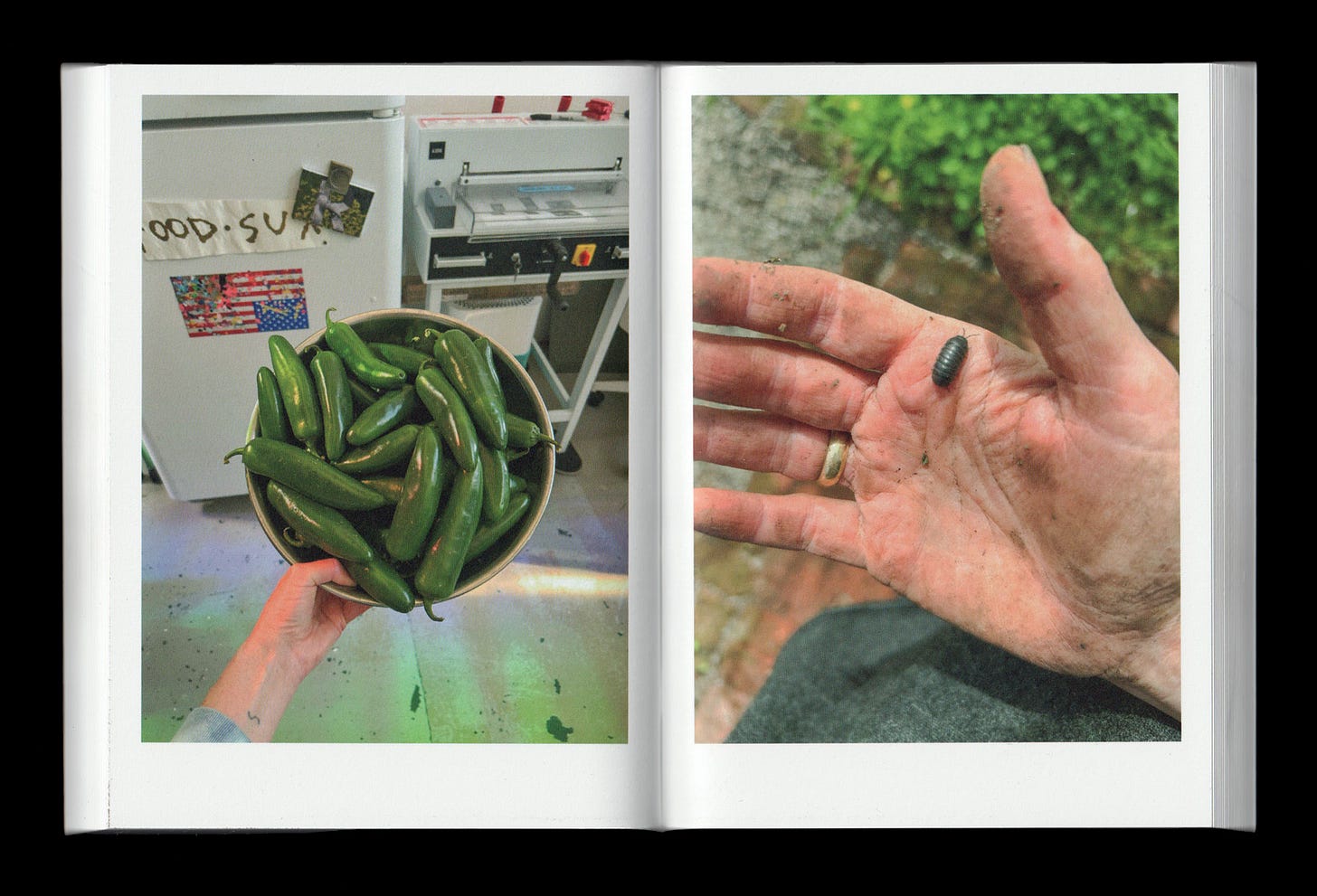 A two page book spread shows two full color photographs set against wide white margins. On the left page a hand holds a metal bowl filled with fresh green jalapeno peppers inside a kitchen with a refrigerator and equipment visible in the background and small stickers and notes attached to the fridge. On the right page a dirty open palm is shown outdoors holding a small dark pill bug or roly poly with soil on the skin and greenery and a stone surface blurred behind it.