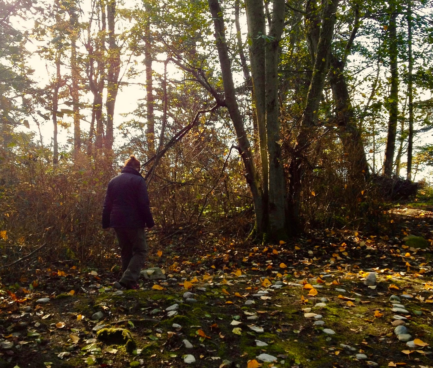 Walking the labyrinth on Lummi Island, November 2015. Photo by JPC.