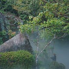 Japan Trip Diary: April 2026