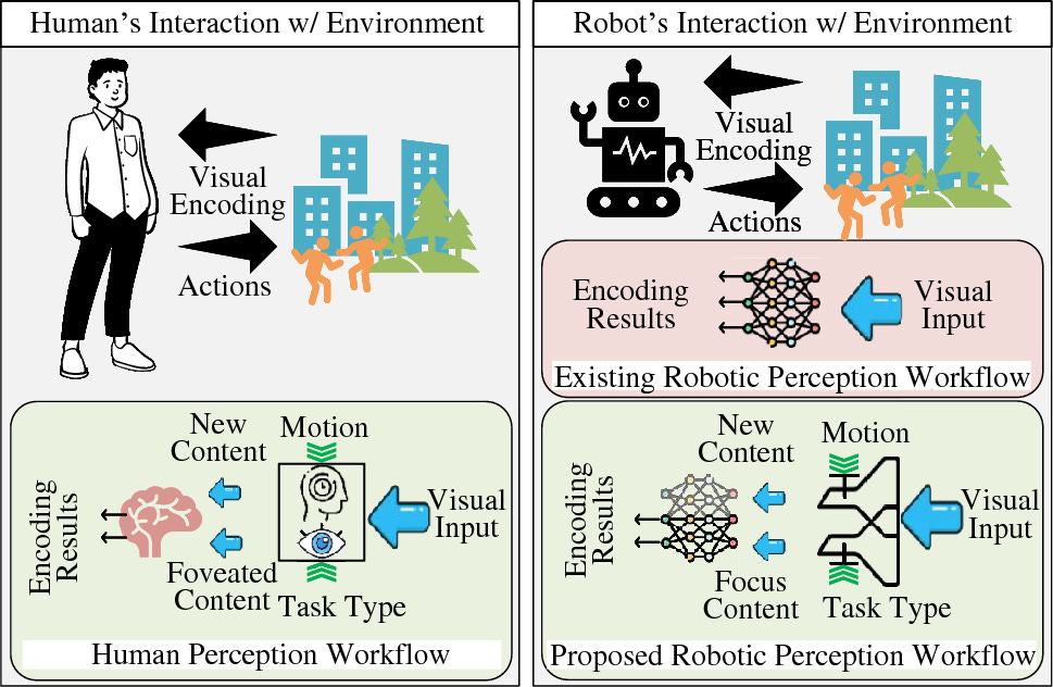 Towards real-time embodied AI agent: a bionic visual encoding framework for  mobile robotics | International Journal of Intelligent Robotics and  Applications