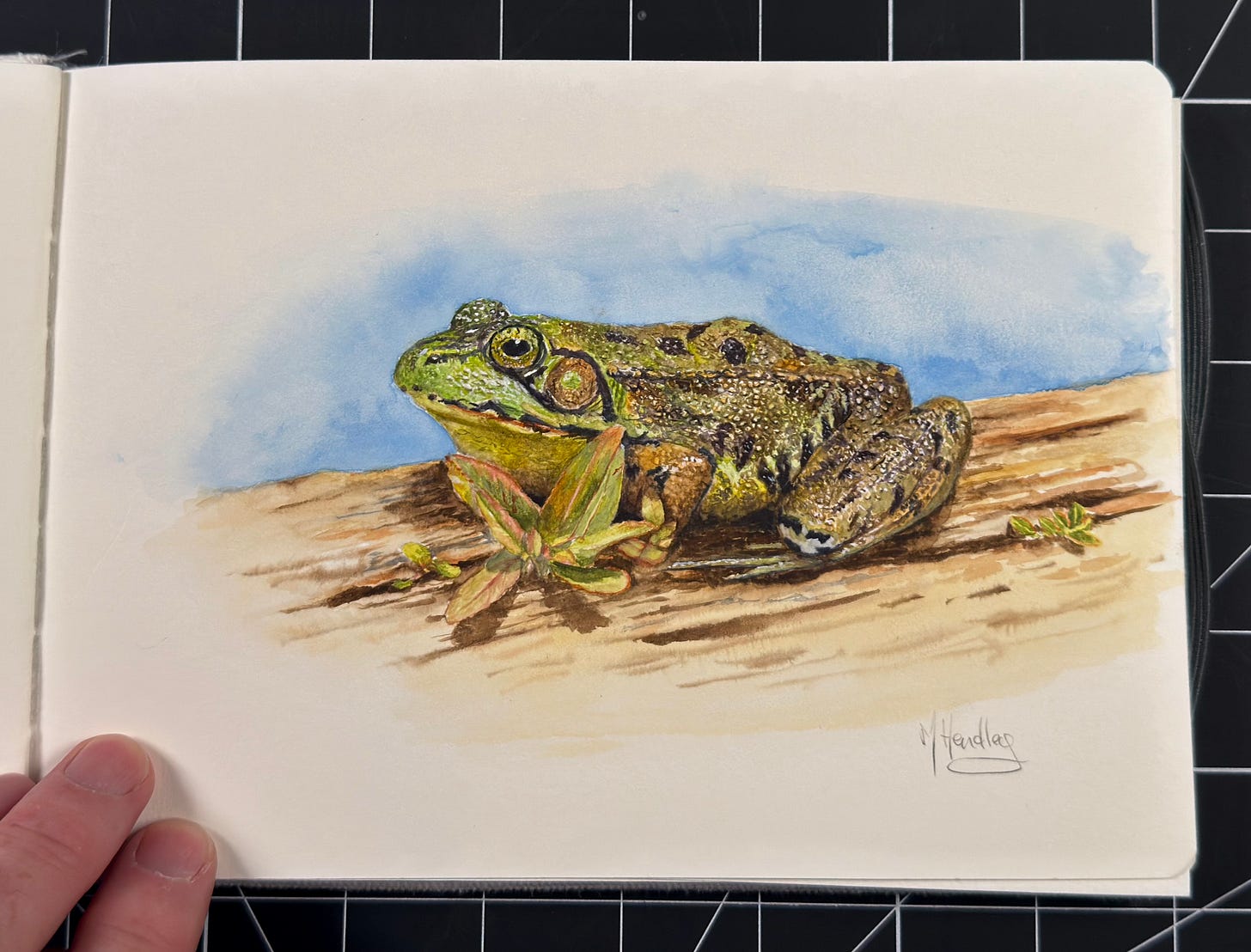 A watercolour painting of a frog on a log rendered in a sketchbook that is lying on a desk mat