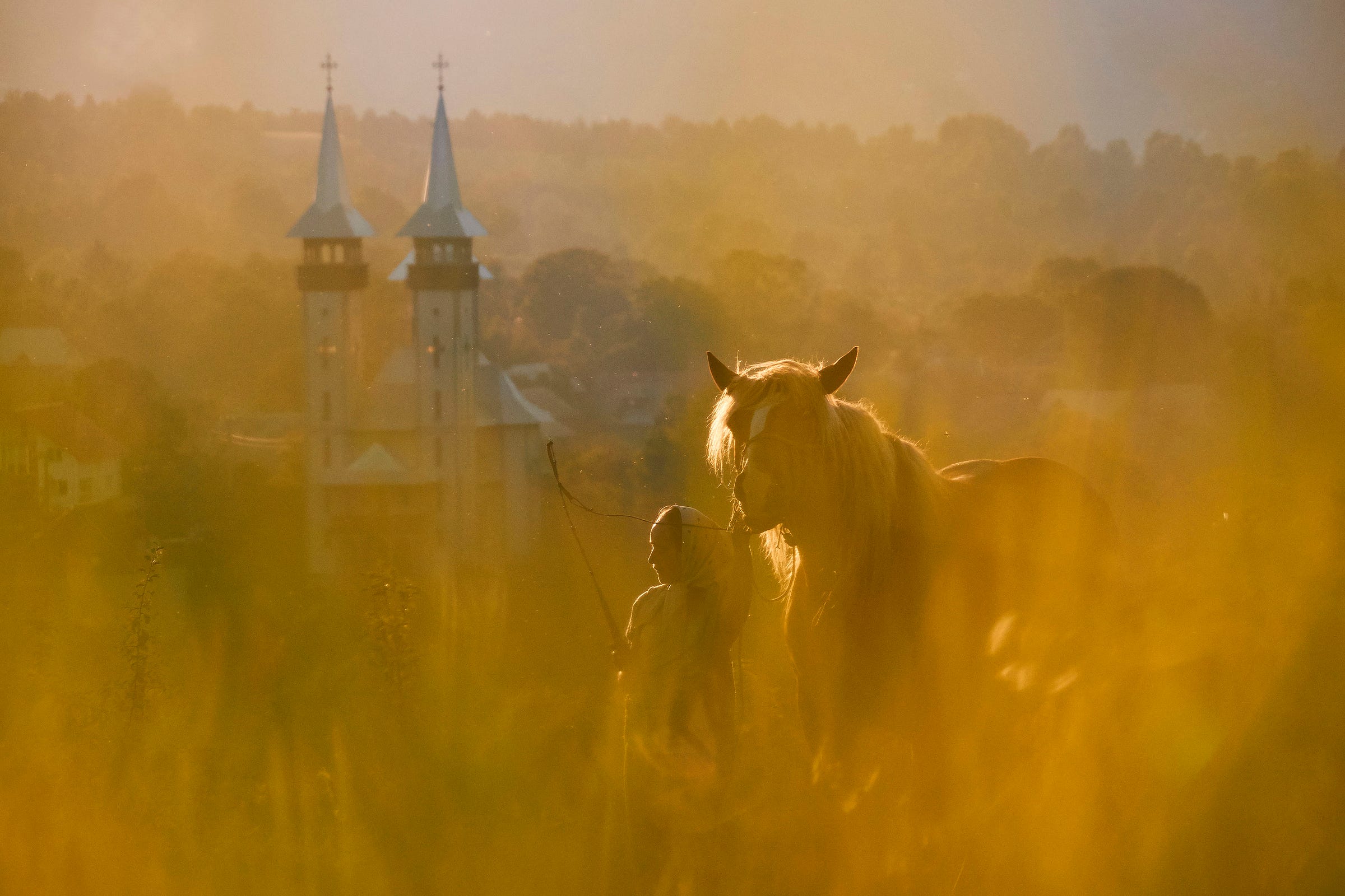 A person stands with a horse in a sunlit field, surrounded by tall yellow grass. In the background, two church towers rise above a misty, tree-covered landscape. A person stands with a horse in a sunlit field, surrounded by tall yellow grass. In the background, two church towers rise above a misty, tree-covered landscape.