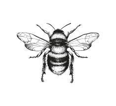 20,000+ Honey Bee Stock Illustrations ...