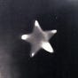 alina's avatar