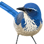 Corvi Careers's avatar