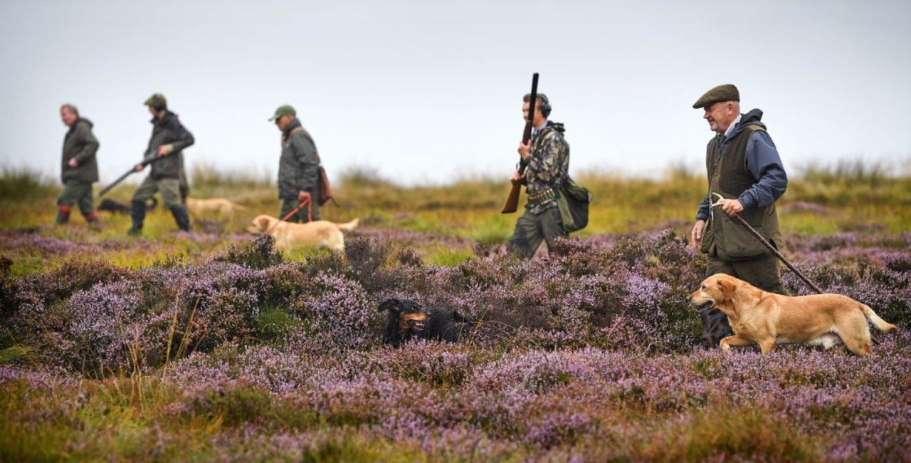 "The Value of Shooting" report: a high-gloss marketing mess