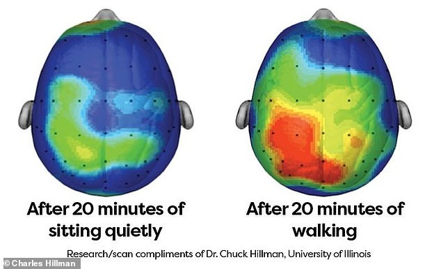 Scientists reveal how long YOU should walk to boost brain power | Daily  Mail Online