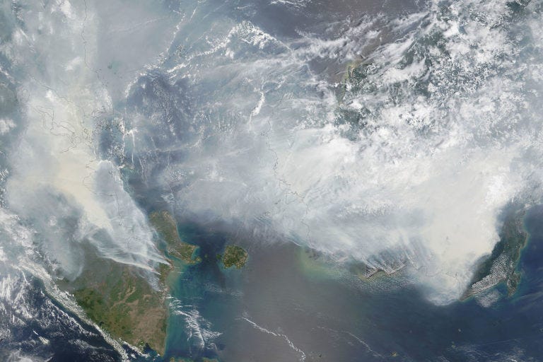 A NASA satellite image captured September 2015 shows massive plumes of smoke enveloping Sumatra, Borneo, Singapore and southern Malaysia. These fires burned out of control for months and were largely attributed to slash-and-burn clearing of drained peatlands. Image in the public domain.