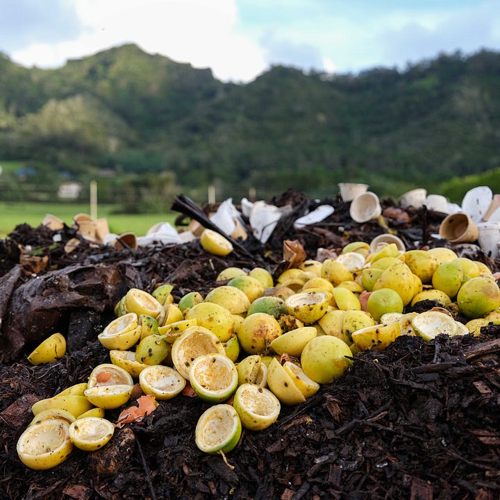 Diptych: Left - pile of used lemon rinds; Right - pile of used fruit in Hawaii