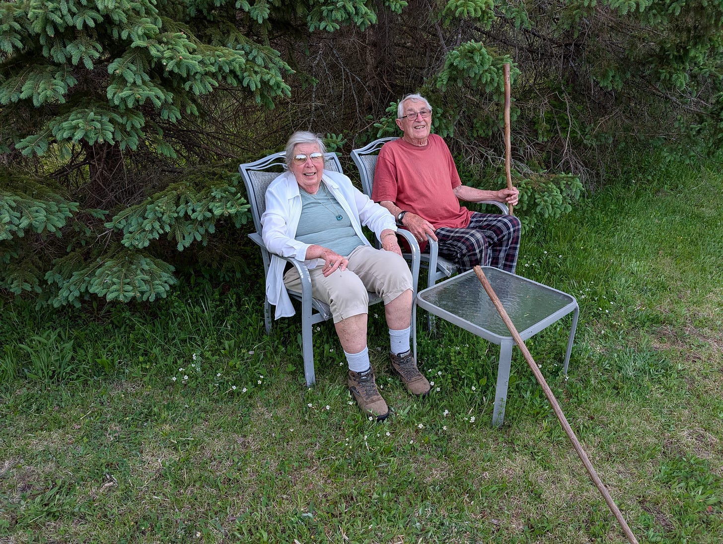 Elderly couple sitting outside in front of pine trees