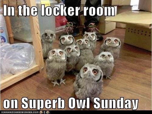 Image result for superb owl