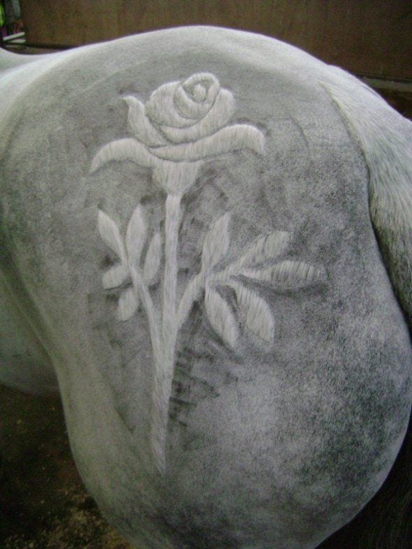 This may contain: a close up of a rock with a rose on it