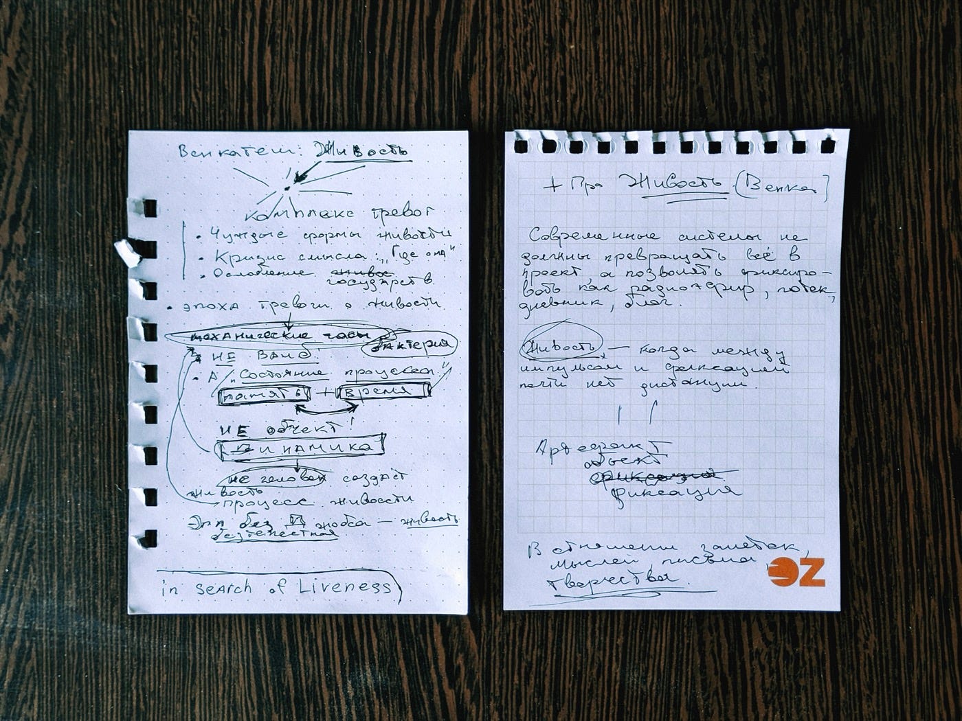 Записные листы с заметками о концепции «Живость», включая ключевые идеи и определения.