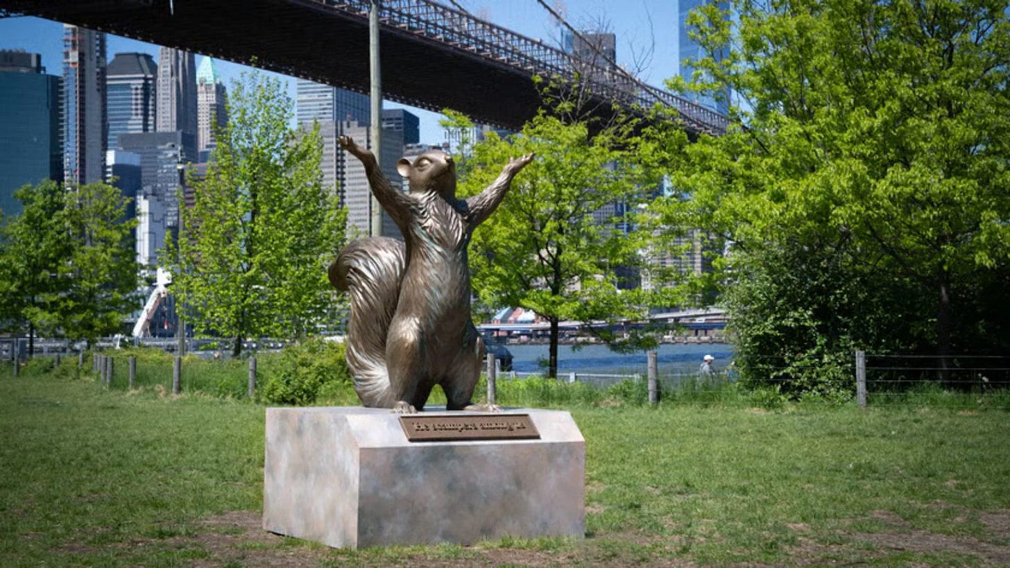 Canva turns squirrels into AI marketing campaign momentum Canva turns squirrels into AI marketing campaign momentum