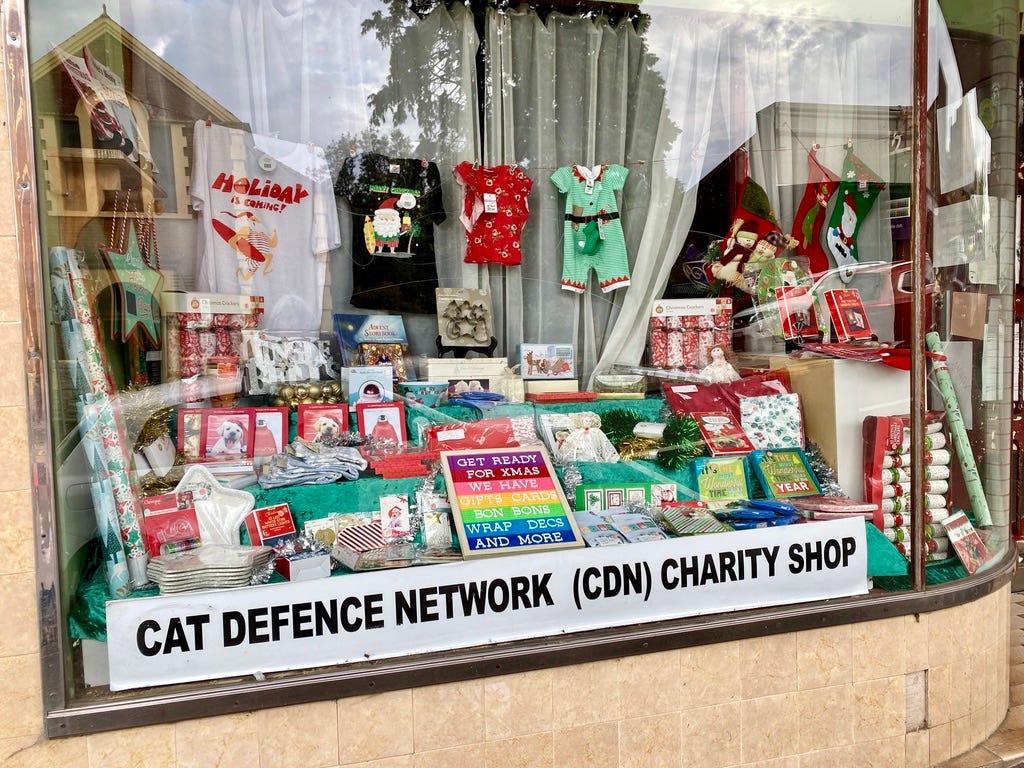 cat defence network op shop in katoomba