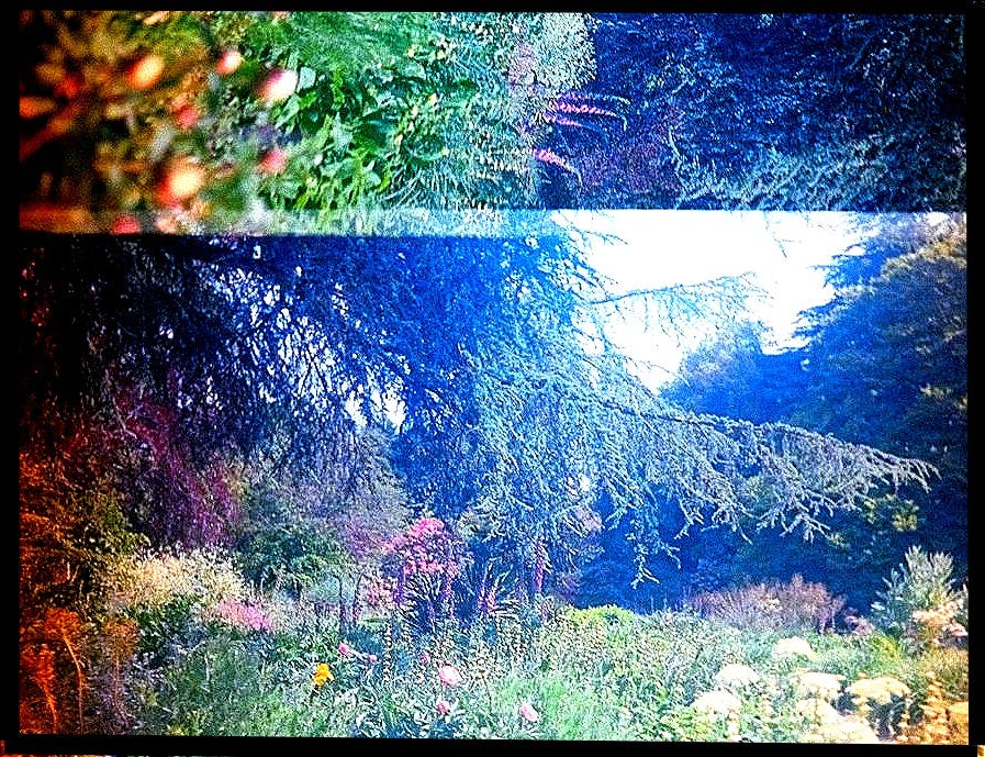 Two pictures of a path in the woods