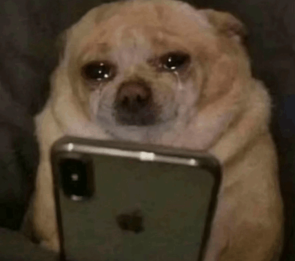a dog is crying while looking at a phone .