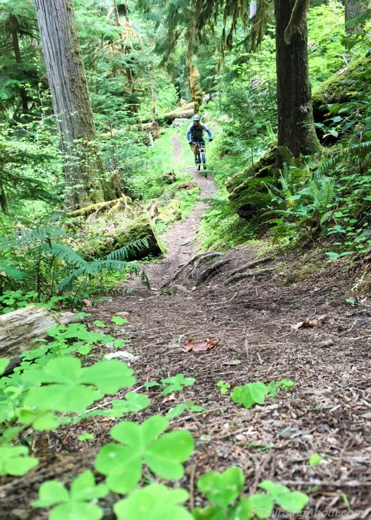 Gabe zips through the emerald palace of Larison Creek.