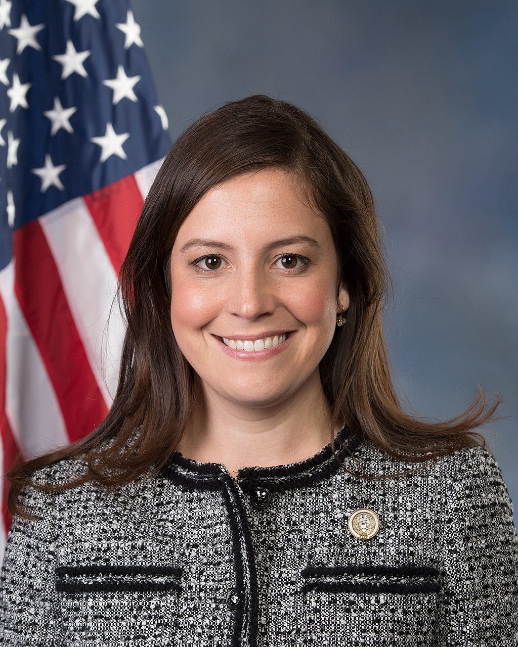 Elise Stefanik official portrait; she's got shoulder length brown hair and is wearing a weirdly loud moire pattern gray checked shirt; flag behind her