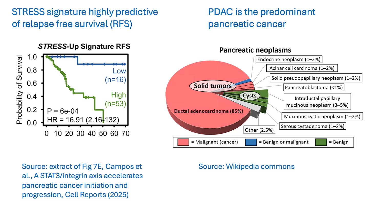 A diagram of cancer cells

AI-generated content may be incorrect.