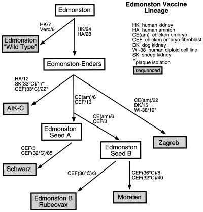 FIG. 1 FIG. 1