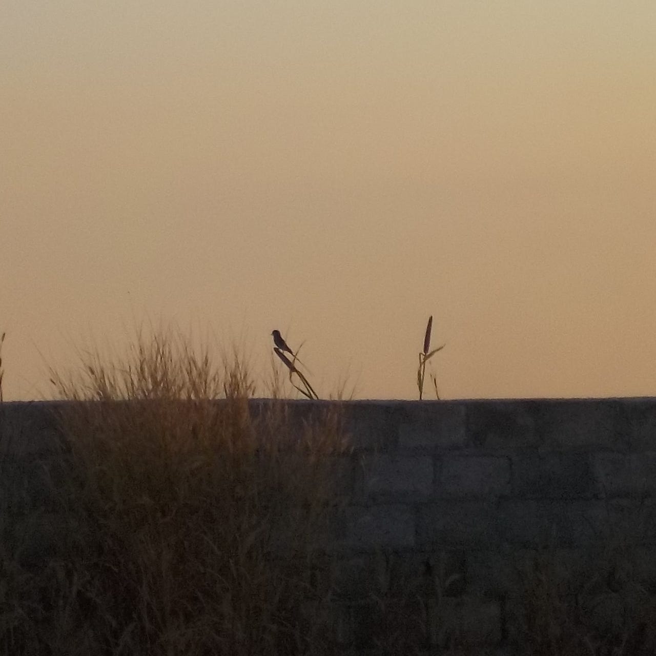 Horns of Elfland Faintly Blowing