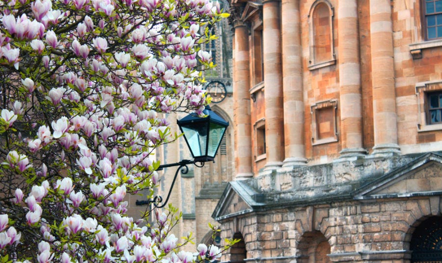 Conference of Colleges, in the University of Oxford