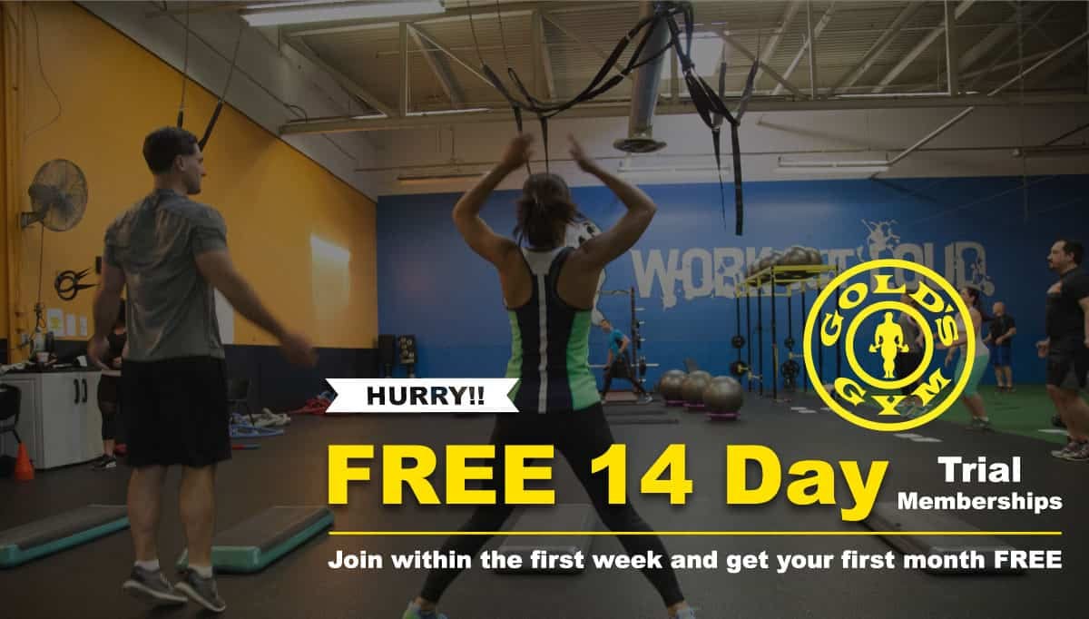 14 day trial membership — Gold's Gym Webster | Gym located in Webster, NY |  Gym, Personal Training, Group Exercise, Athletic Training & More