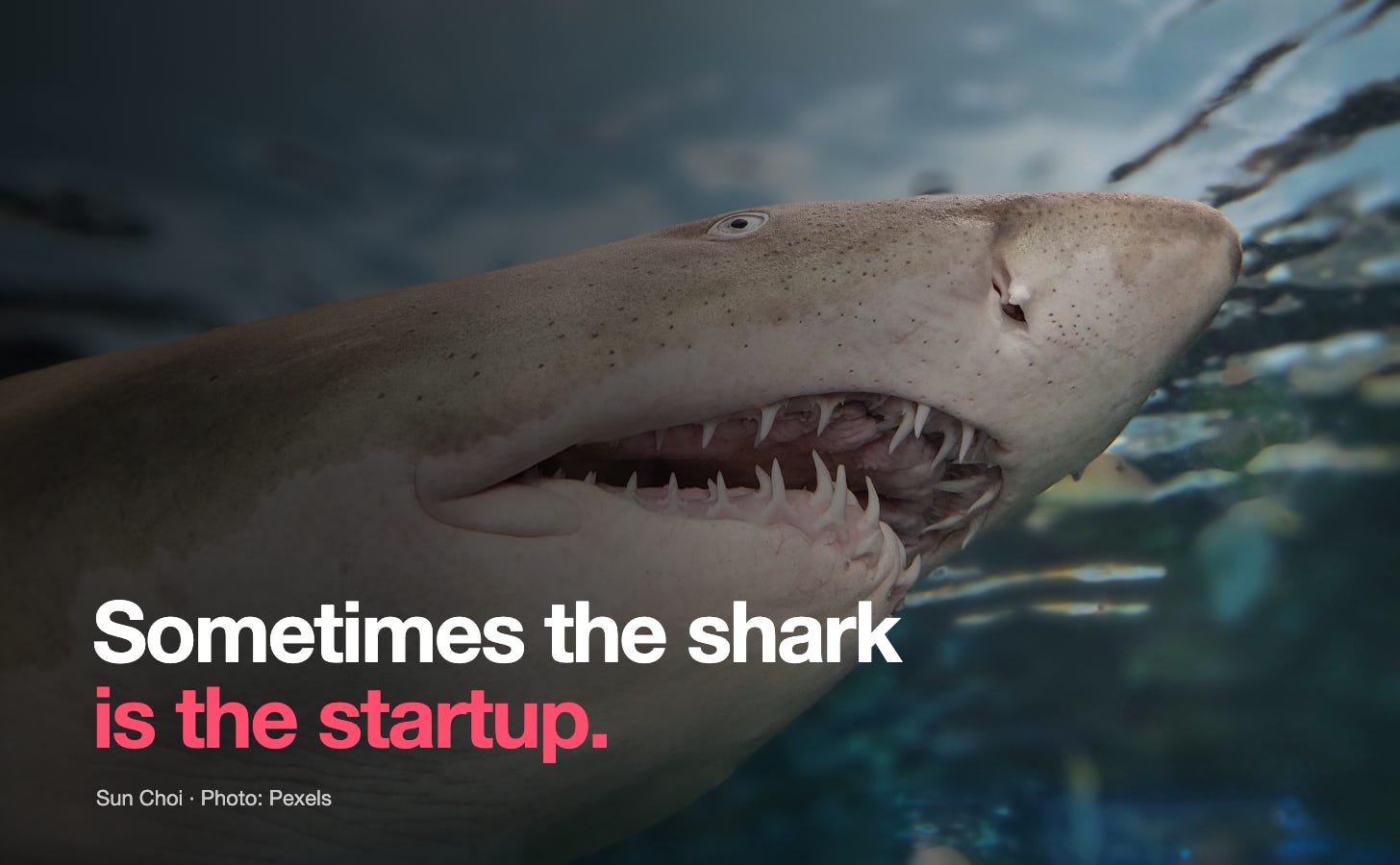 Big companies do steal. Sometimes the accusation is the problem. Big companies do steal. Sometimes the accusation is the problem.
