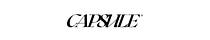 Capsule Letter