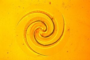 A logarithmic spiral with a diameter of 500 μm, approximately half the diameter of a sewing needle.