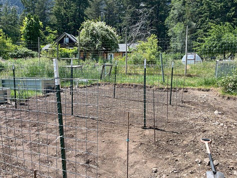 setting trellis panels in using 3 t-posts showing spacing between rows