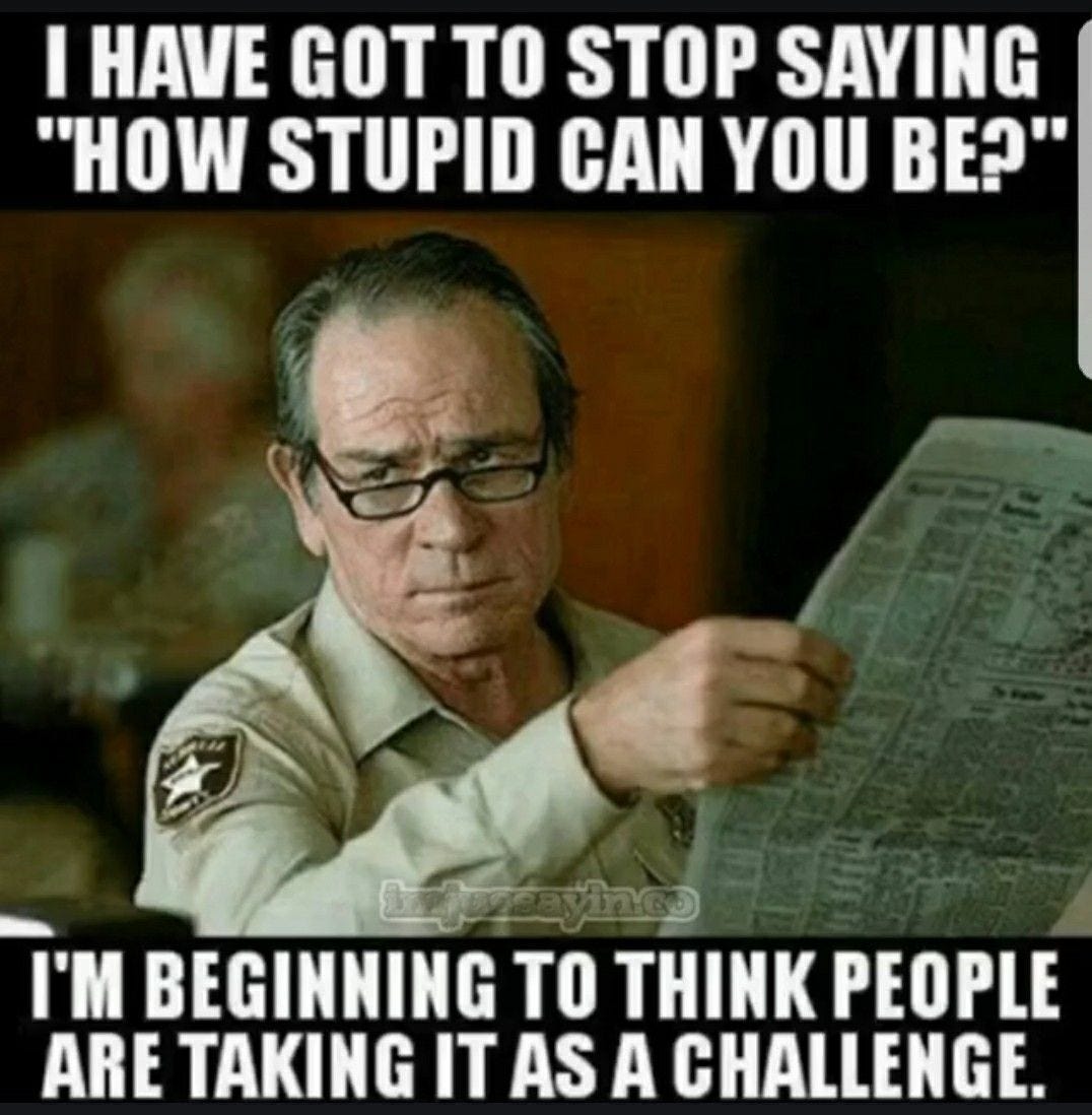 The Funny Pages by Mari Bo | Stupid people quotes, Stupid people memes ...