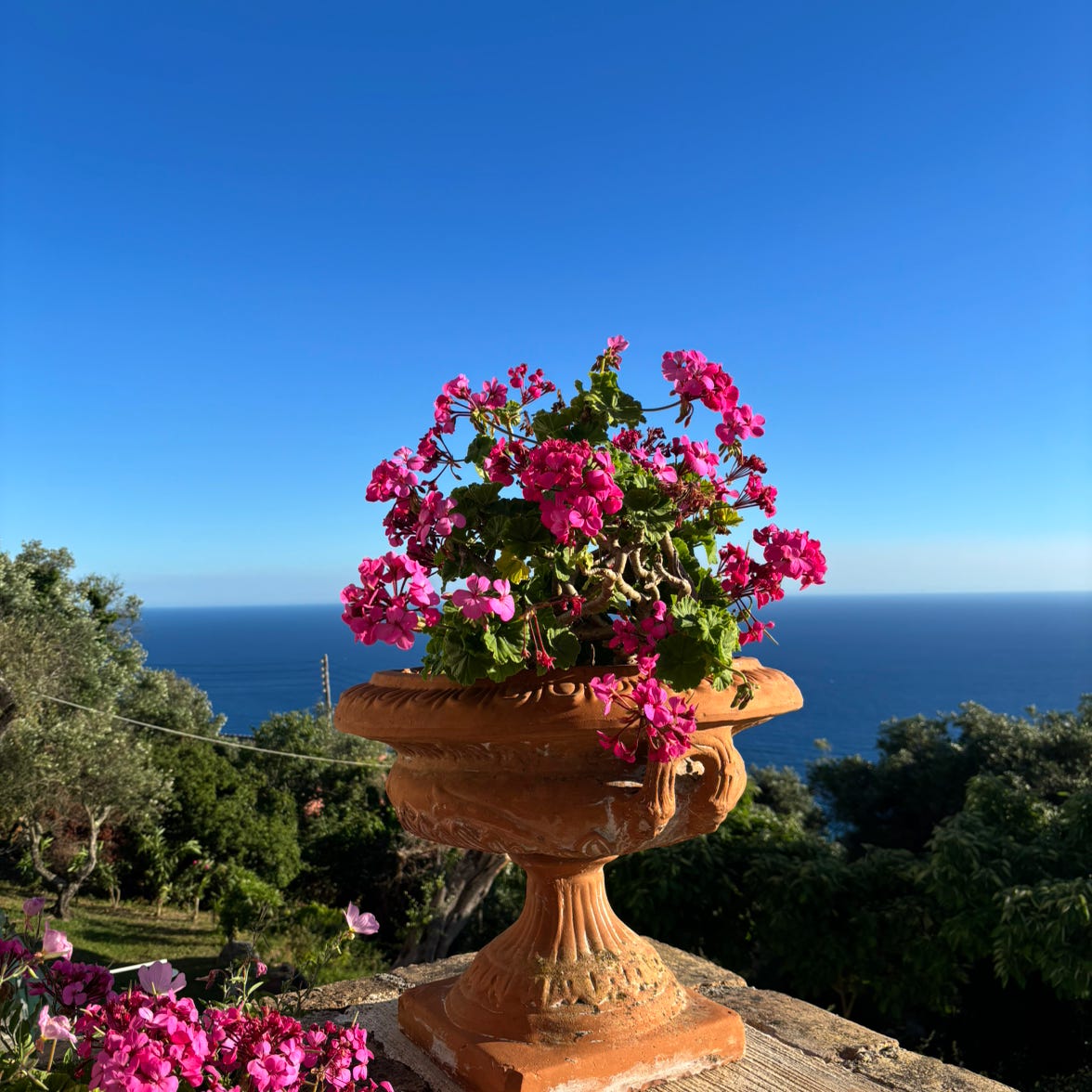 Eric’s Newsletter