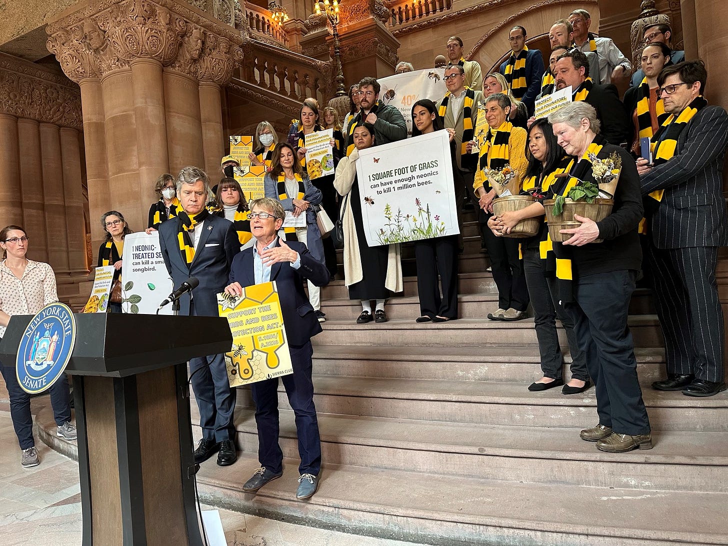 Assemblymember Deborah Glick speaks on behalf of a pollinator protection bill in the state legislature Assemblymember Deborah Glick speaks on behalf of a pollinator protection bill in the state legislature
