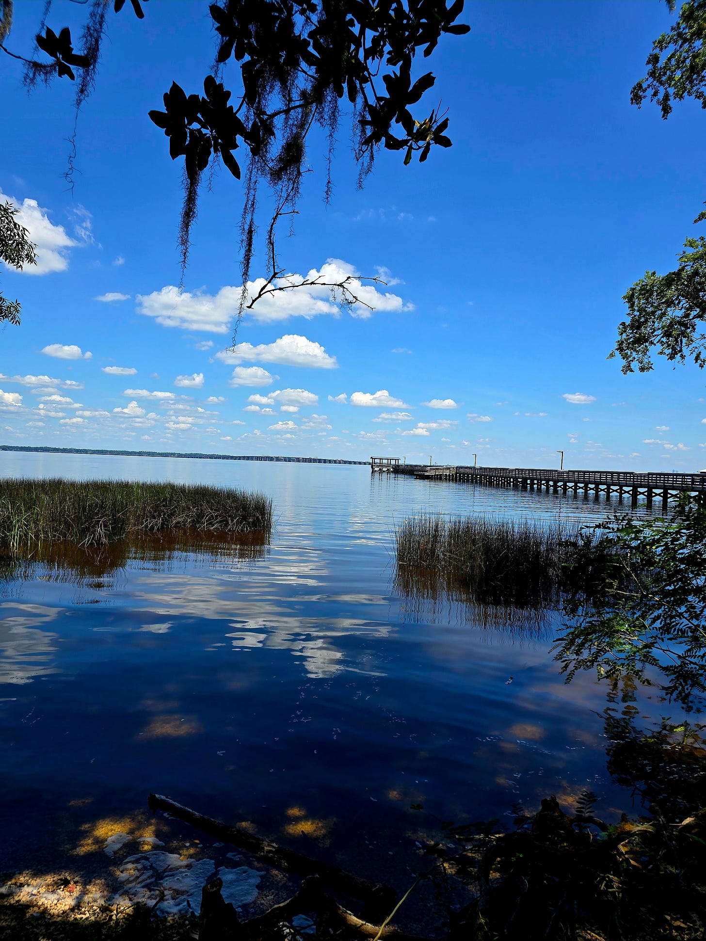 Walter Jones Historical Park, one of Florida's natural sanctuaries