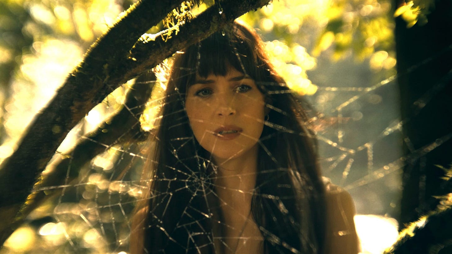 Madame Web | Still features Dakota Johnson as the titular superhero observing a spiderweb.