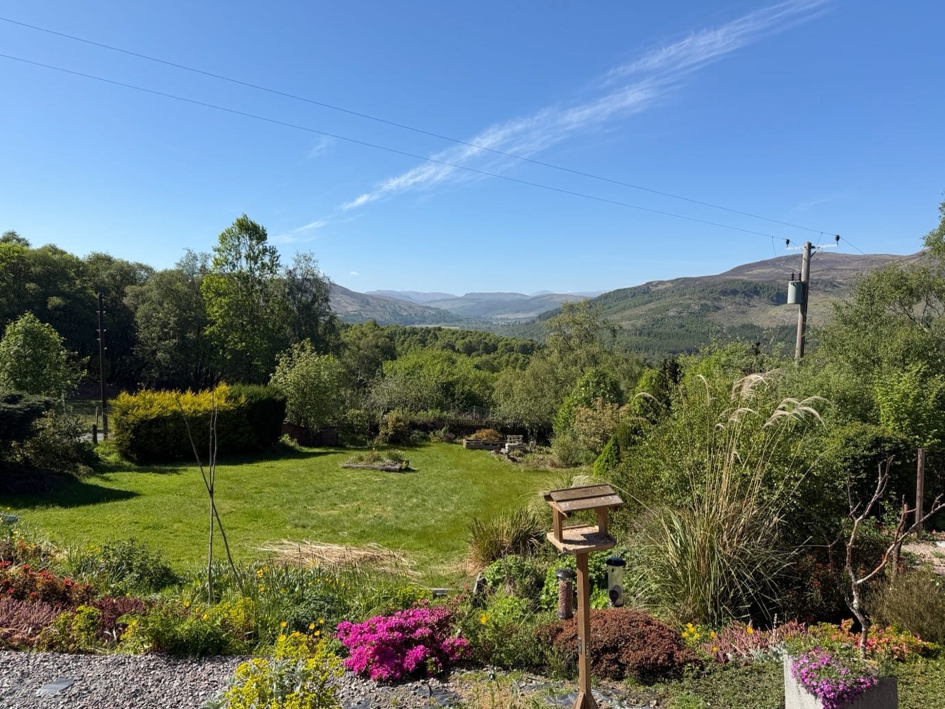 A view of a garden and mountains

AI-generated content may be incorrect.