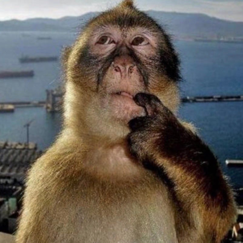 Artwork for The Great Divide