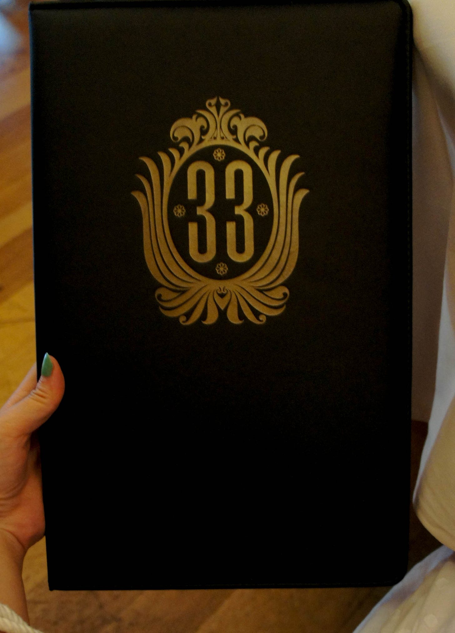 celebrated-birthday-exclusive-Disneyland-I-made-small-photo-journal-earheads-Disney-fans-to-see-Inside-Look-Club-33