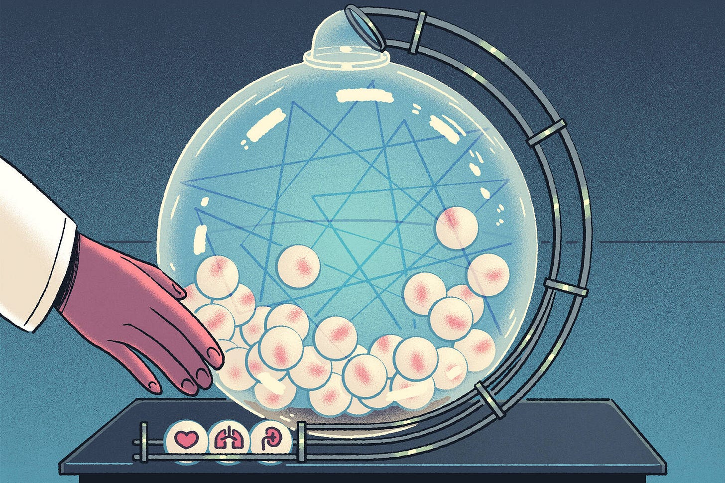 illustration of lottery ball spinner with tiny illustrations of human organs on the balls