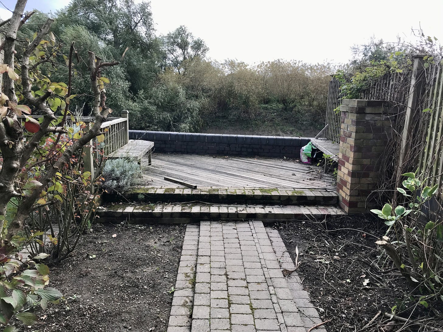 The before  image of a small garden design