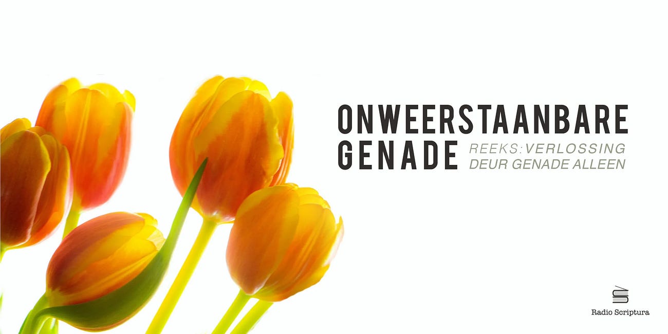 Verlossing deur genade alleen: Onweerstaanbare genade